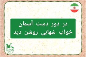 در دور دست آسمان، خواب شهابی روشن دید