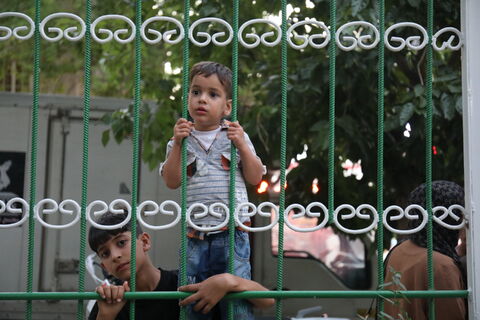 قاصدان نینوا
