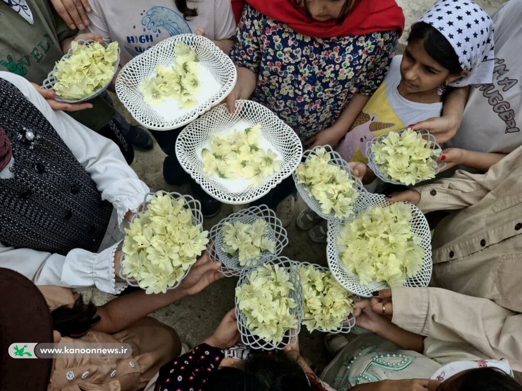 رایحه طبیعت در کانون گرگان؛ گل ختمی، محور آموزش مهارتهای زیستمحیطی شد