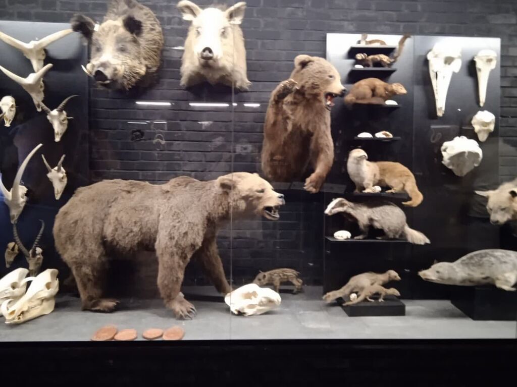 اردوی علمی اعضا مرکز فرهنگی شماره ۴ مشهد