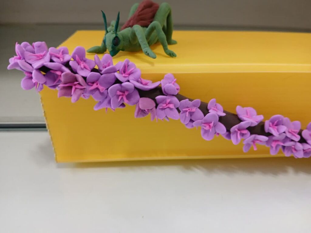 کاشت بذر، توسط همیاران طبیعت مرکز فرهنگی شماره ۸ مشهد