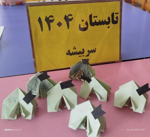 خراسان جنوبی