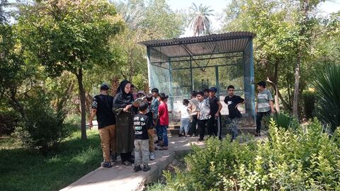 خراسان جنوبی