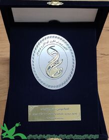 درخشش دیانا یوسفی در جشنواره ملی شعر و داستان