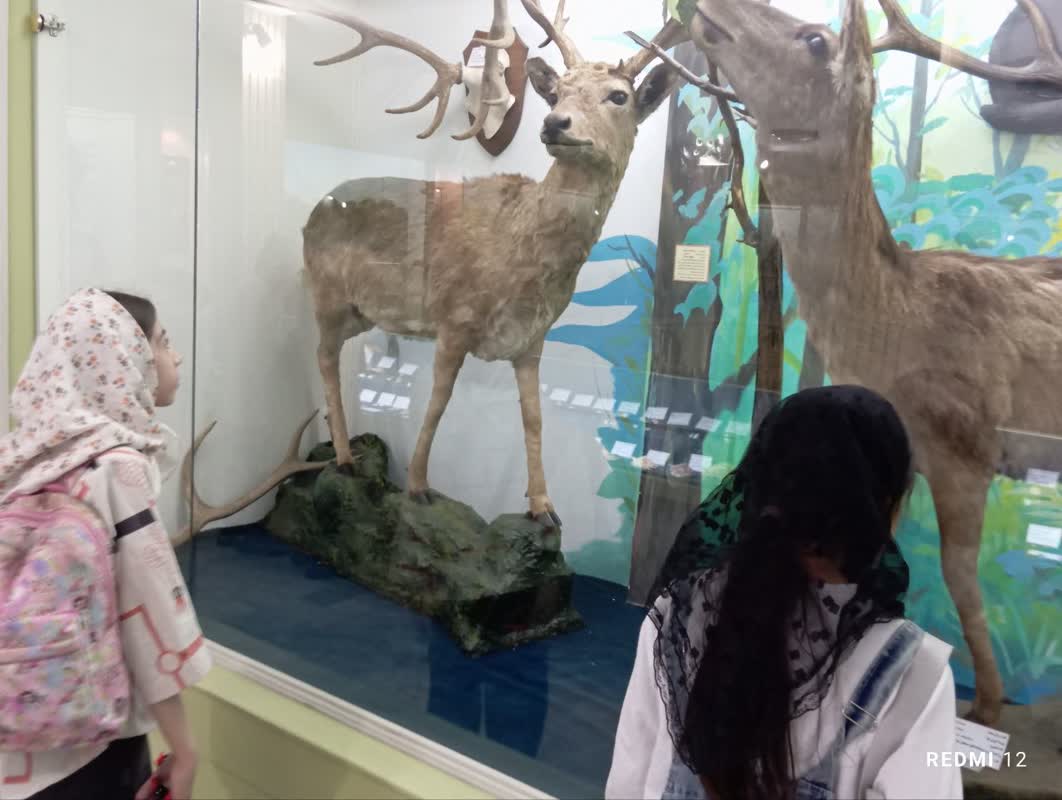 بازدید اعضای کانون شهر اراک از موزه حیات وحش