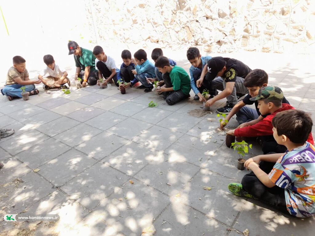 نهال آگاهی در دل کودکان زنجانی کاشته شد
