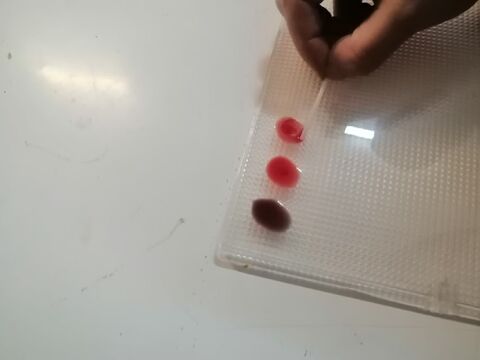 ویژه برنامه ی اهدای خون