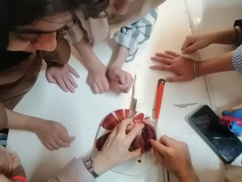 ویژه برنامه ی اهدای خون