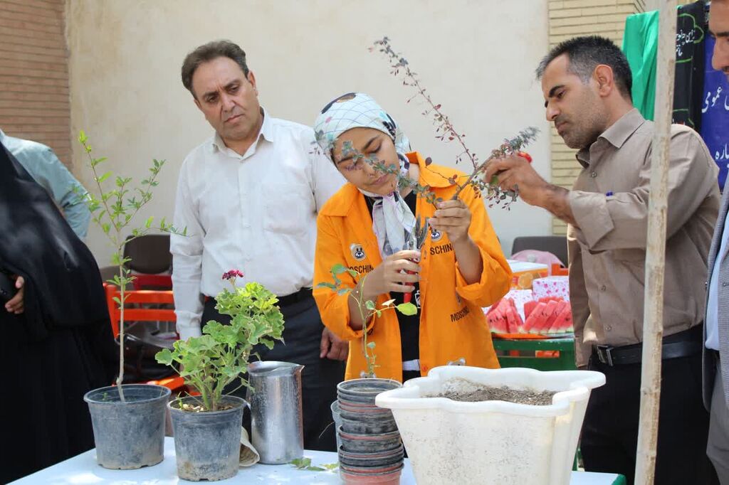 کاشت نهال در کانون چایپاره