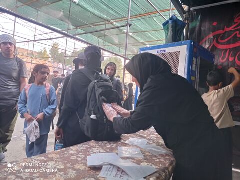 کانون پرورش فکری استان ایلام در مسیر پیاده روی اربعین ۱۴۰۴ به روایت تصویر