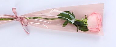 تقدیر مدیرکل کانون پرورش فکری کودکان و نوجوانان هرمزگان از اعضای نوجوان خبرنگار