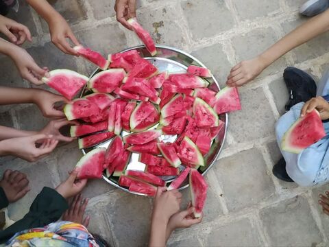 گزارش تصویری از اردوی اعضای دختر مرکز فرهنگی کاشمر