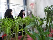 بازدید از نمایشگاه گل وگیاه دراردوی استانی کانون