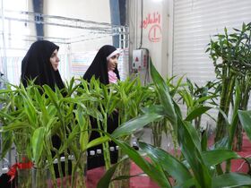 بازدید از نمایشگاه گل وگیاه دراردوی استانی کانون