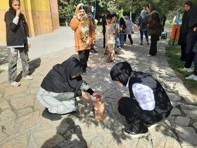 از هفت‌سنگ تا منچ؛ بازی‌های سنتی، مهمان کودکان امروز