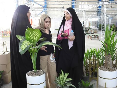 کانون استان ایلام در اردوی «ایلام ما»به روایت تصویر