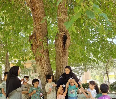 درناهای کاغذی