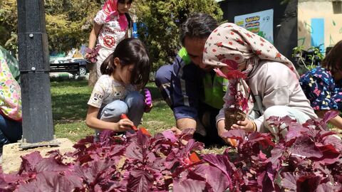 «یک روز با طبیعت» در بوستان قائم با اعضای مرکز فرهنگی شماره 4 مشهد