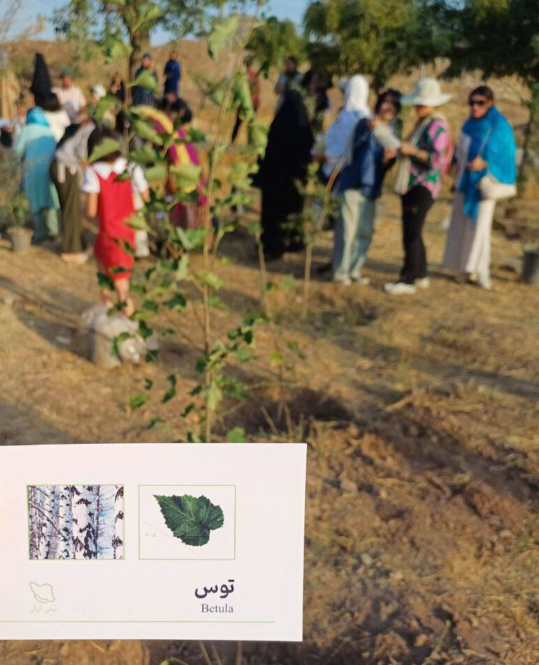 کاشت نهال در مرکز لواسان استان تهران
