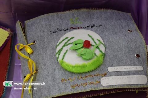   کتاب‌ها و تولیدات هنری کودکان با نیازهای ویژه در ساری به نمایش درآمد