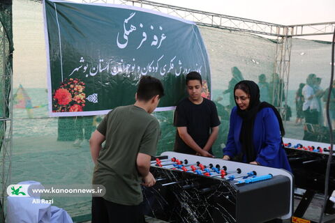 آلبوم تصویری جشن پرواز بادبادکها در بوشهر