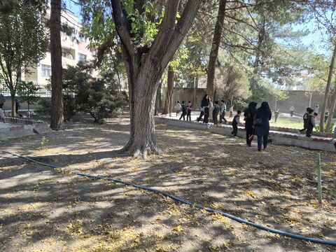 جشن ملی «نوخوان‌ها» در کانون استان اصفهان برگزارشد- آلبوم ۲