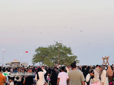 جشن پرواز بادبادکها در مراکز فرهنگی هنری کانون استان بوشهر
