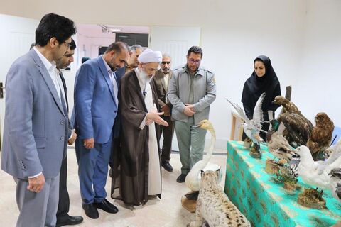 بازدید نماینده ولی فیقه در مازندران از نمایشگاه هفته ملی کودک