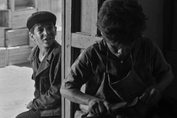 نسخه ترمیمشده «سفر» در جشنواره فیلم لندن به نمایش درمیآید