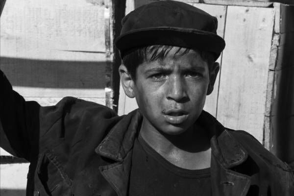 نسخه ترمیمشده «سفر» در جشنواره فیلم لندن به نمایش درمیآید