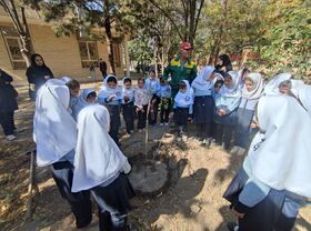 کاشت نهال به یاد «کودکان شهید» توسط مدرسه یاقوت در مرکز شماره ۳  کانون تبریز