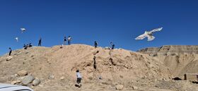 گزارش تصویری فعالیتهای مرکز فرهنگی کلات در هفته ملی کودک