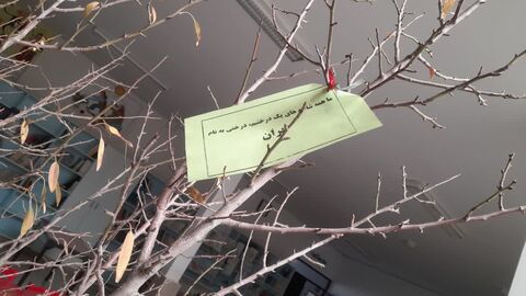 خراسان جنوبی