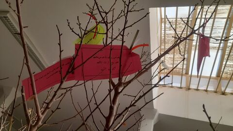 خراسان جنوبی