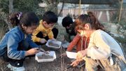 تجربه نقاشی و کاشت گیاه برای کودکان در کارگاه روز جهانی خاک