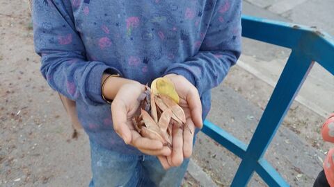 گزارش تصویری «معرفی کتاب» با طعم هنر و طبیعت