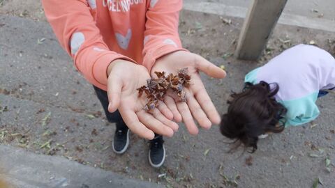 گزارش تصویری «معرفی کتاب» با طعم هنر و طبیعت