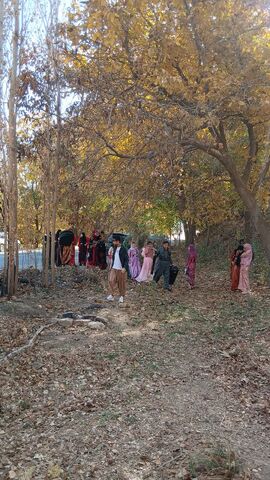 ثلاث‌باباجانی.  رونمایی ولاتم ایران