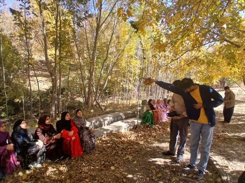 ثلاث‌باباجانی.  رونمایی ولاتم ایران