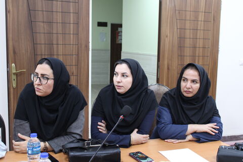 نائب رئیس مجلس