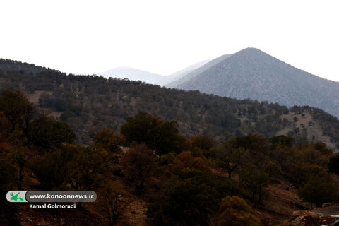 اردوی یک روزه فرهنگی، آموزشی کارکنان کانون لرستان