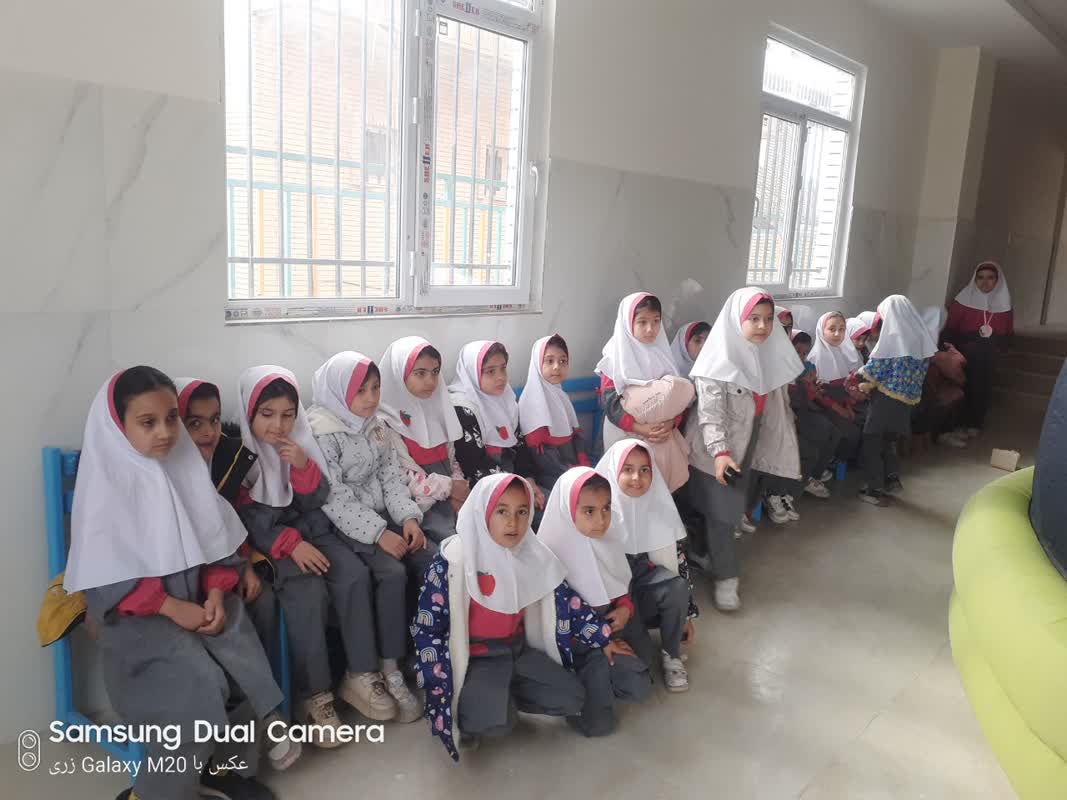 نشست دنیای اوریگامی با حضور نویسنده کتاب در شهر داودآباد