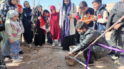 آلبوم تصویری از پنجره دوم، نقد کتاب یک شعر بی طااقت کانون استان قم
