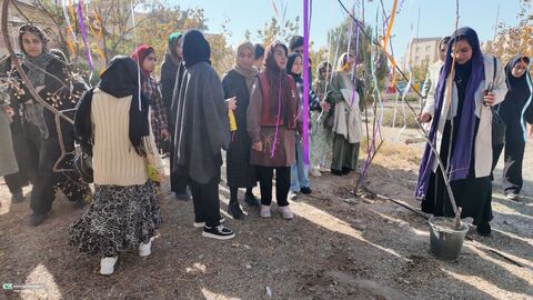 آلبوم تصویری از پنجره دوم، نقد کتاب یک شعر بی طااقت کانون استان قم