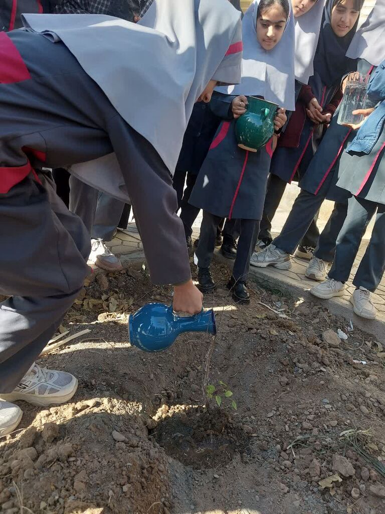 کاشت نهال در مرکز فرهنگی سرخس