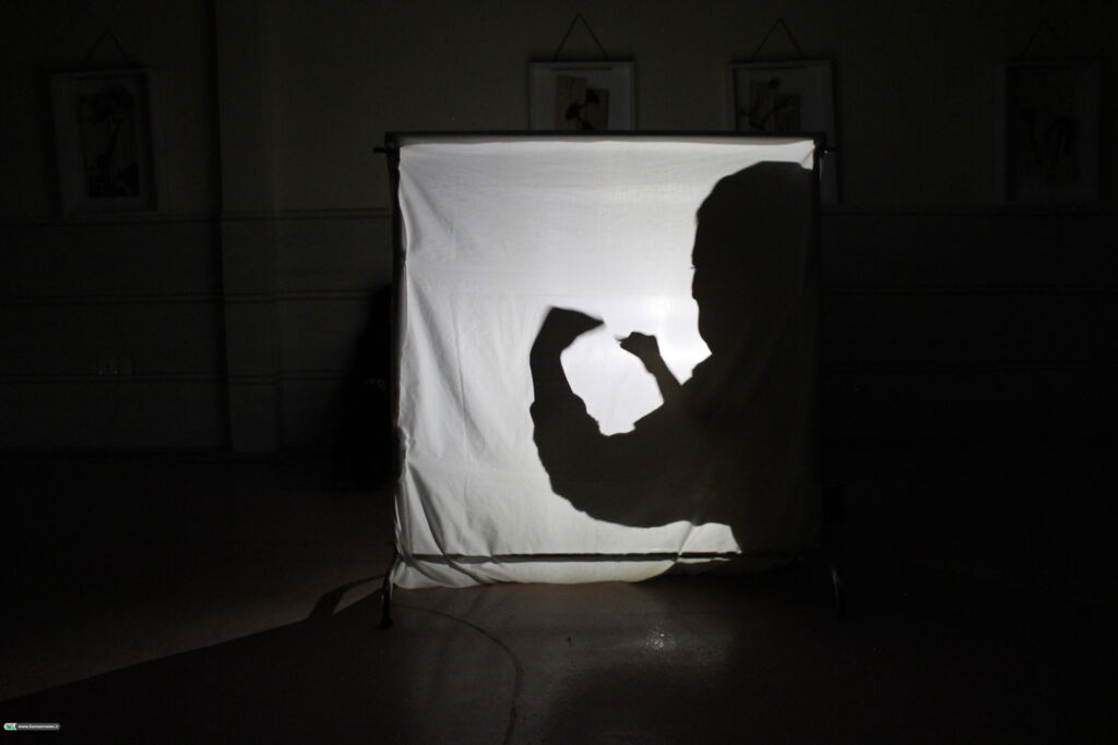 معتقدم هر عروسک سایه، دریچهای به دنیایی از تخیلات بیکران است