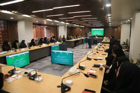 دومین روز سفر مدیرعامل و هیئت همراه به هرمزگان