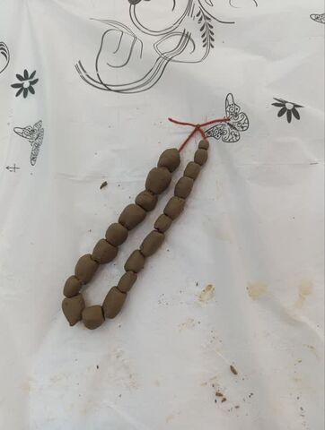 پویش تسبیح در مراکز کانون هرمزگان برگزارشد