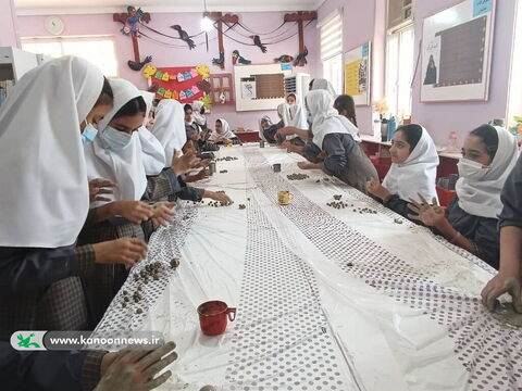 پویش ملی تسبیح در مراکز کانون استان بوشهر