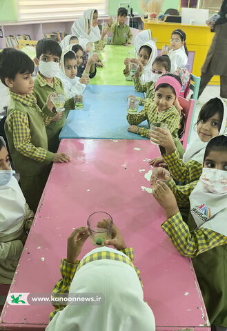 هفته پژوهش در مرکز بردخون